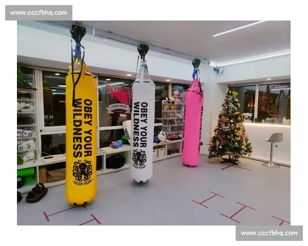 深入探讨VS泰拳的起源发展技法特色与国际影响力分析